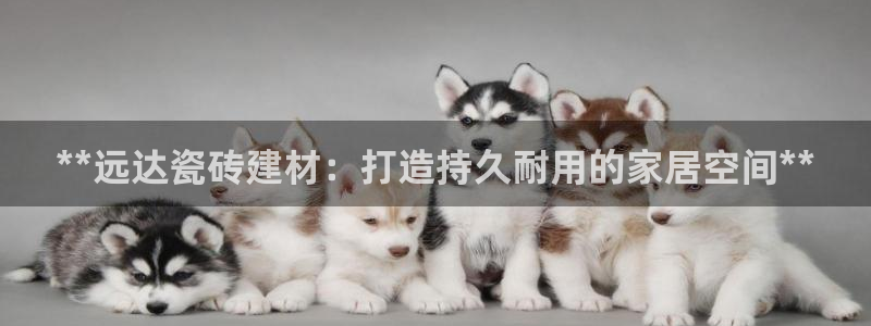 杏鑫平台正规吗