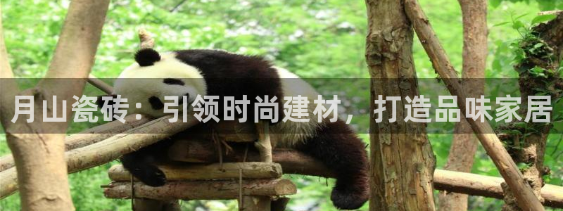 杏鑫平台登录地址是什么