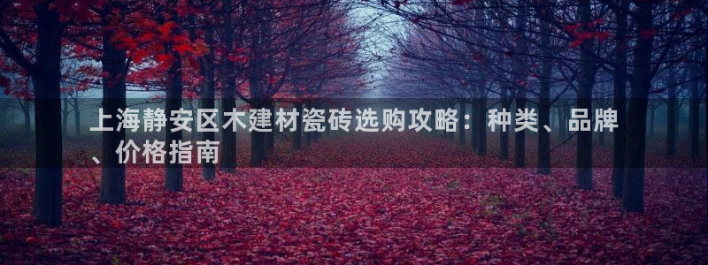 杏鑫官网注册账号怎么注册不了