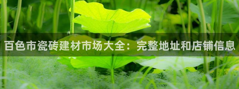 杏鑫娱乐官网