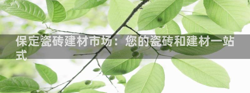 杏鑫官方平台怎么样啊安全吗