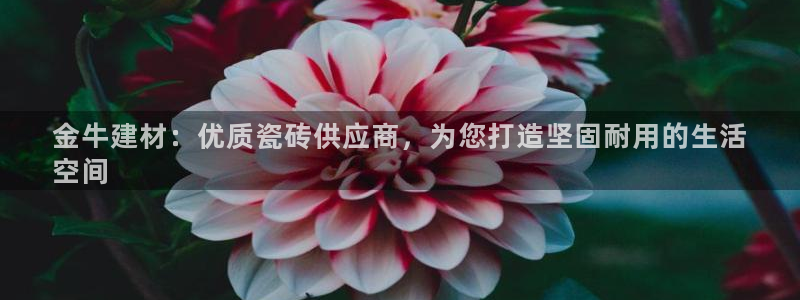 杏鑫平台在线注册流程