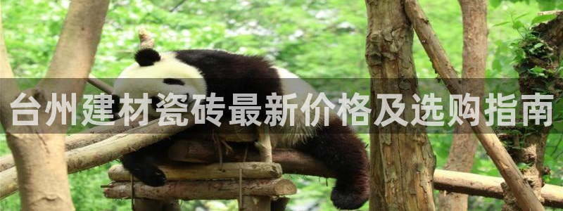 杏鑫平台代理怎么样啊