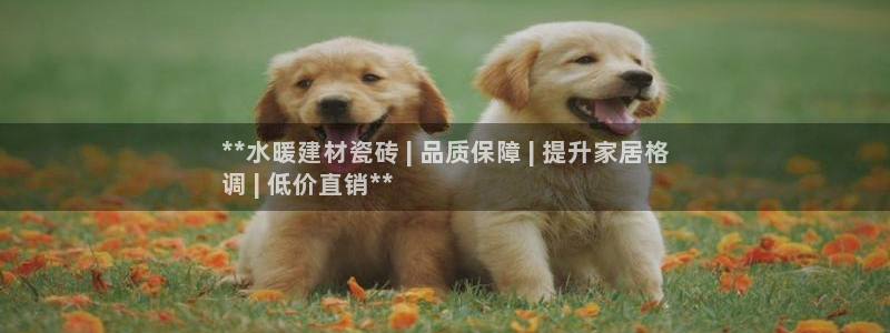 杏鑫平台野马联盟