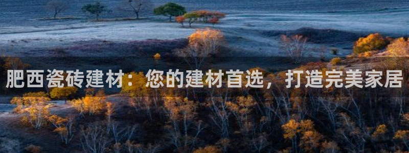 杏鑫平台怎么样黑钱吗安全吗