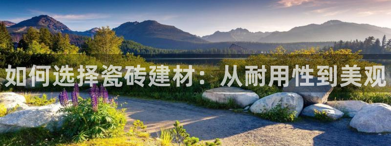 杏鑫平台招商电话号码是多少