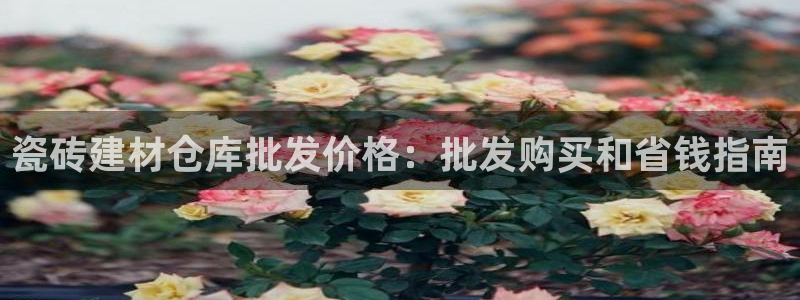 杏鑫平台在线注册