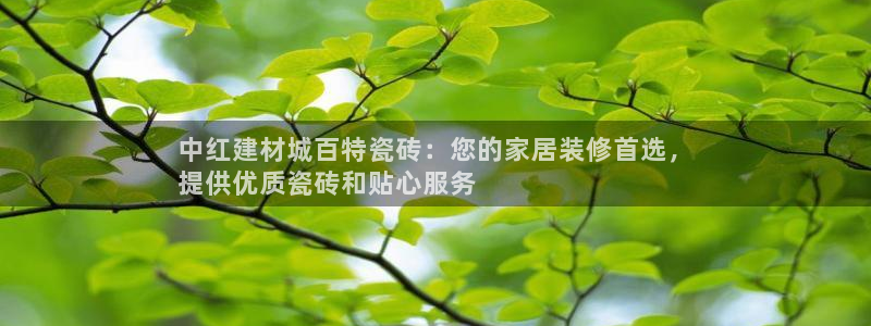 杏鑫平台招商怎么样可靠吗