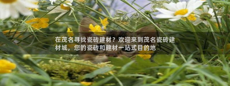杏鑫平台招商电话号码是多少