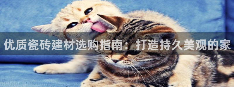 杏鑫平台广7O777