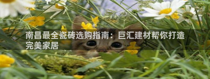 杏鑫注册登录平台是什么