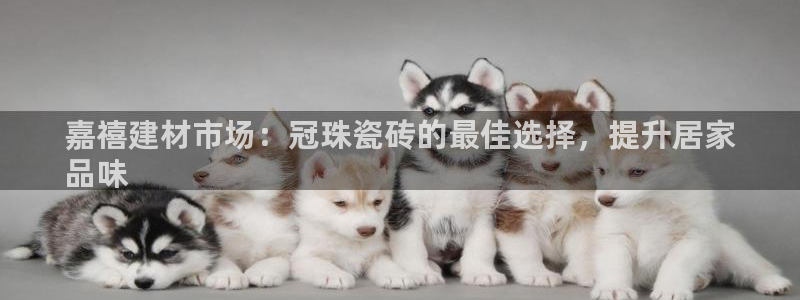 杏鑫平台招商怎么样啊