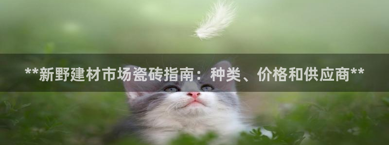 杏鑫官方平台怎么样啊可靠吗