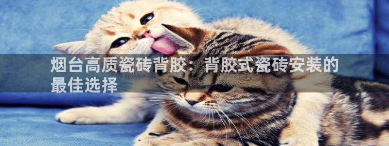 杏鑫平台平台娱乐怎么样