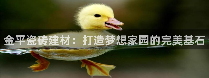 杏鑫娱乐官方网站客户端下载安装