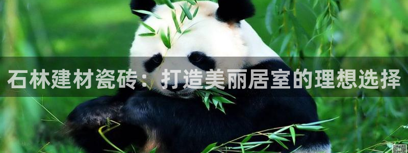 杏鑫平台怎么样黑钱吗安全吗是真的吗