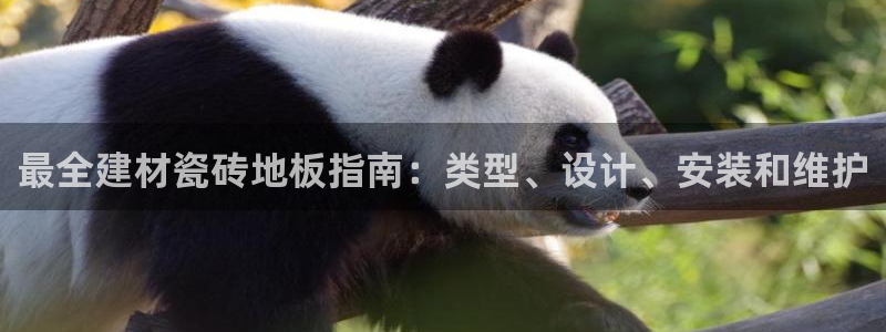 杏鑫平台野马联盟