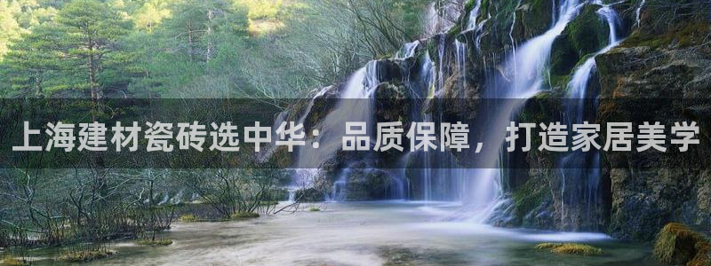 杏鑫官网最新信息新闻