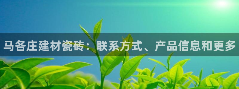 杏鑫平台平台