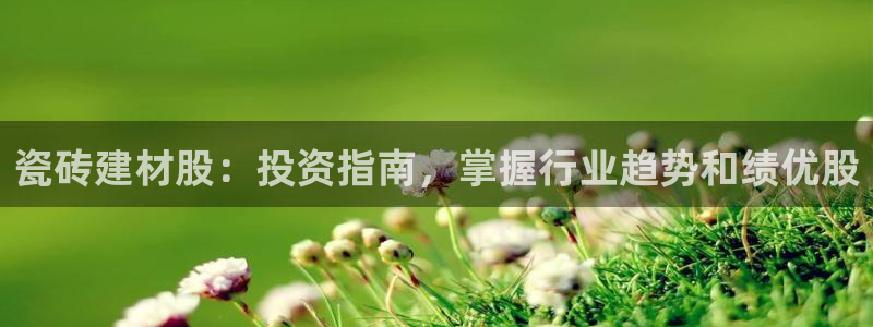 杏鑫3主管