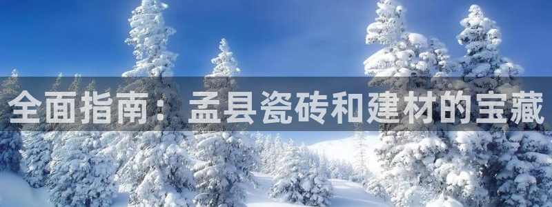 杏鑫有亏损返点吗