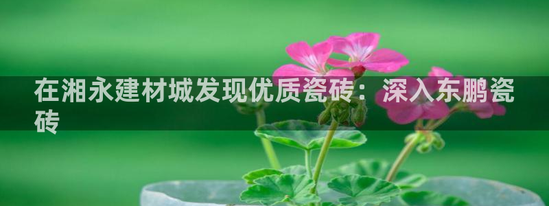 杏鑫平台列7O777