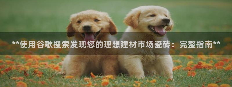 杏鑫官网注册账号是什么样的