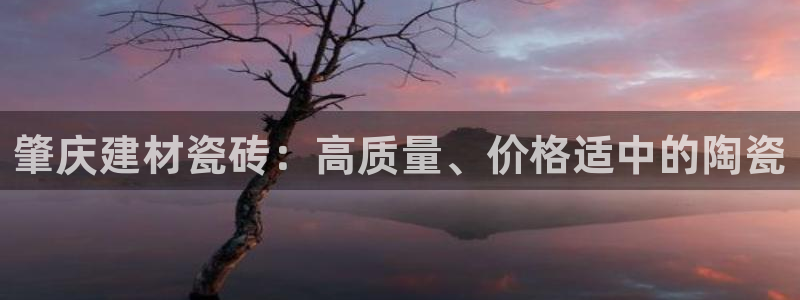 杏鑫平台注册网址是什么