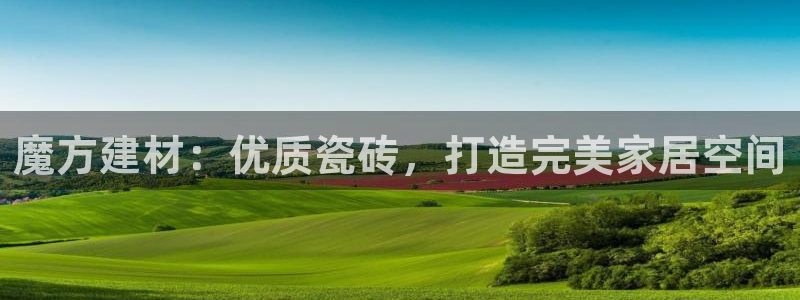 杏鑫平台注册地址是哪里