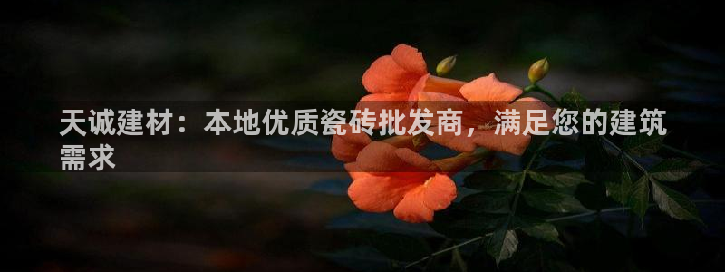杏鑫平台招商电话号码