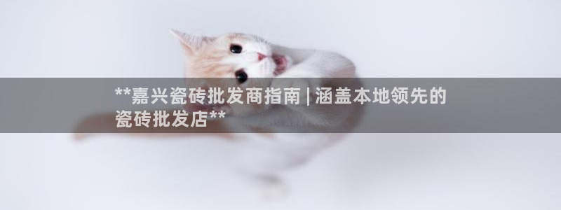 杏鑫平台注册网址查询