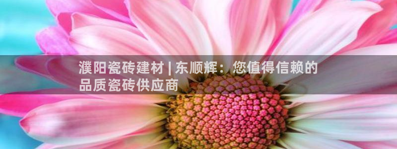 杏鑫主管