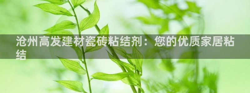 杏鑫平台代理怎么样可靠吗