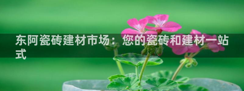 杏鑫官网注册账号是什么样的