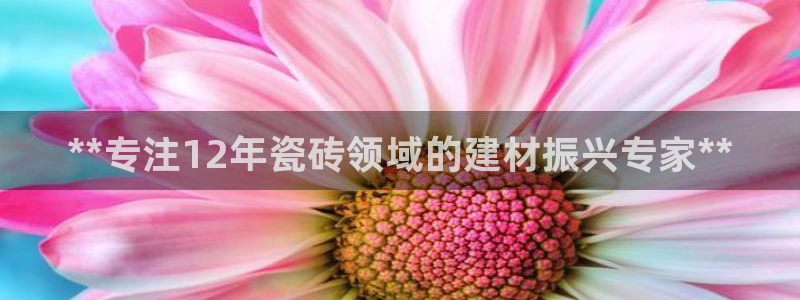 杏鑫平台官方网站