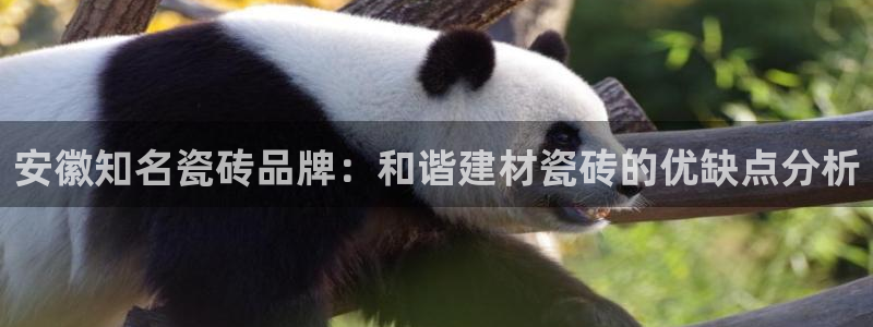 杏鑫官方平台怎么样啊知乎