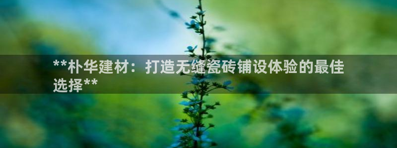 杏鑫官网最新信息新闻