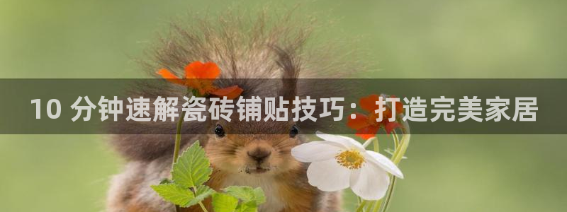 杏鑫手机客户端
