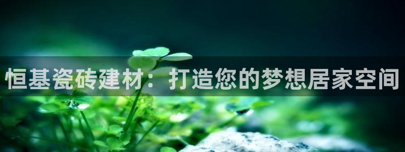 杏鑫平台代理