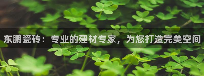 杏鑫招商总代