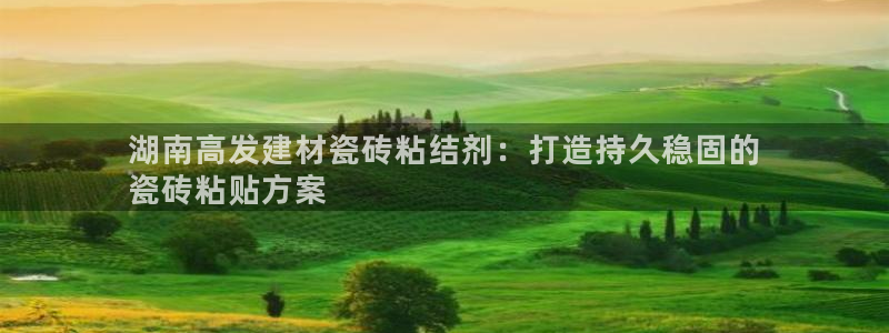 杏鑫平台注册登录