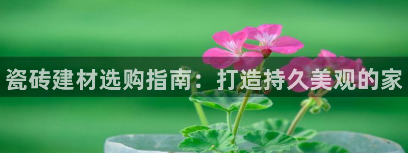 杏鑫平台测速