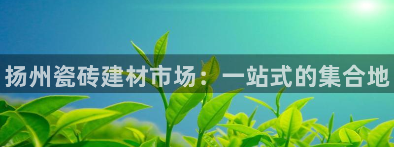 杏鑫官方平台怎么样