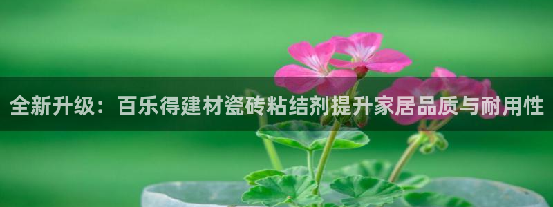 杏鑫官方平台怎么样可靠吗