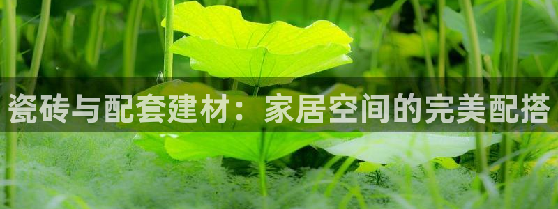 杏鑫官方平台怎么样啊可靠吗