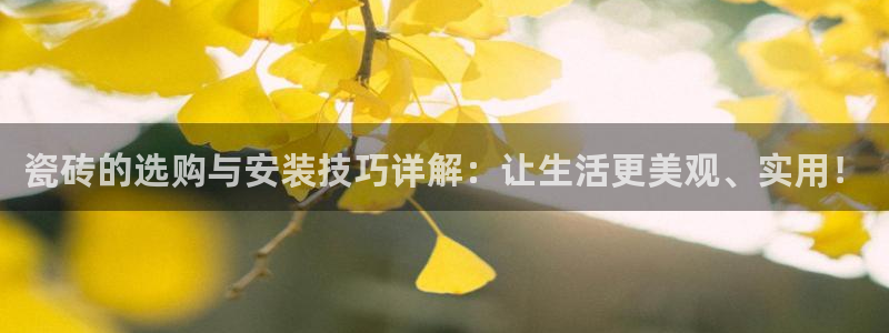 杏鑫娱乐多少年了