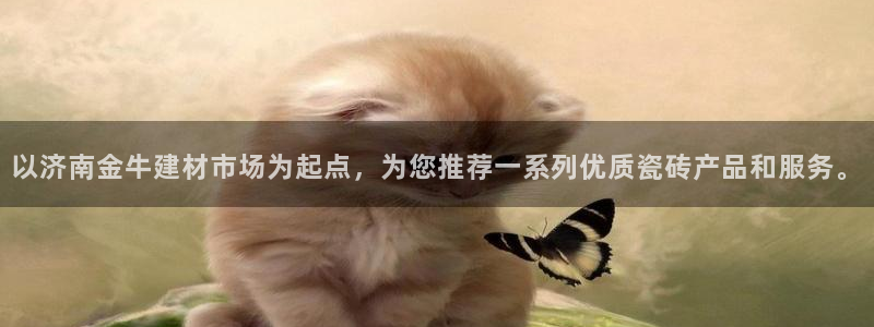 杏鑫平台招商怎么样