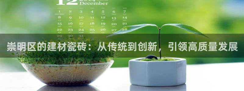 杏鑫平台注册地址在哪里