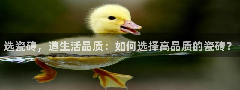 杏鑫平台招商电话号码
