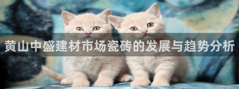 杏鑫平台代理怎么样赚钱